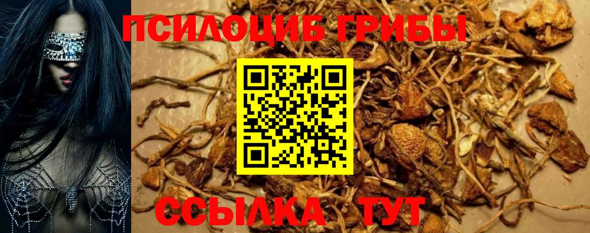 Галлюциногенные грибы MAGIC MUSHROOMS Алушта