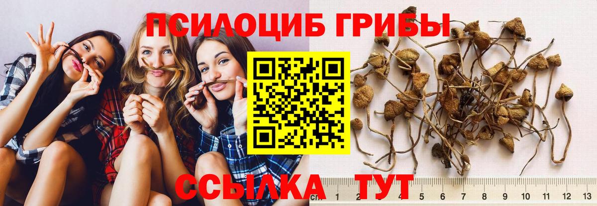 Псилоцибиновые грибы Psilocybine cubensis  Вход с VPN  Алушта 